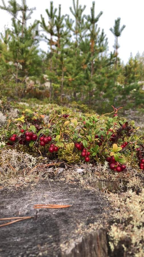 Glampingtaelt Hotel Torsby Kültér fotó