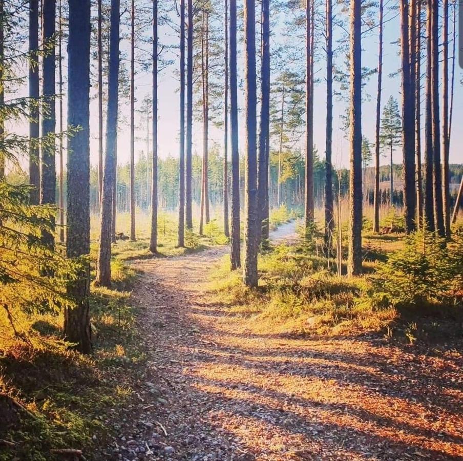 Glampingtaelt Hotel Torsby Kültér fotó