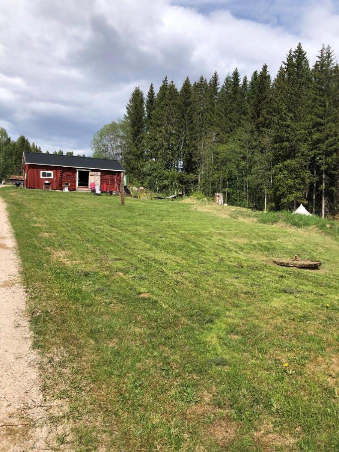 Glampingtaelt Hotel Torsby Kültér fotó