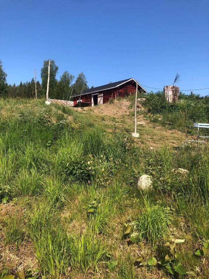 Glampingtaelt Hotel Torsby Kültér fotó